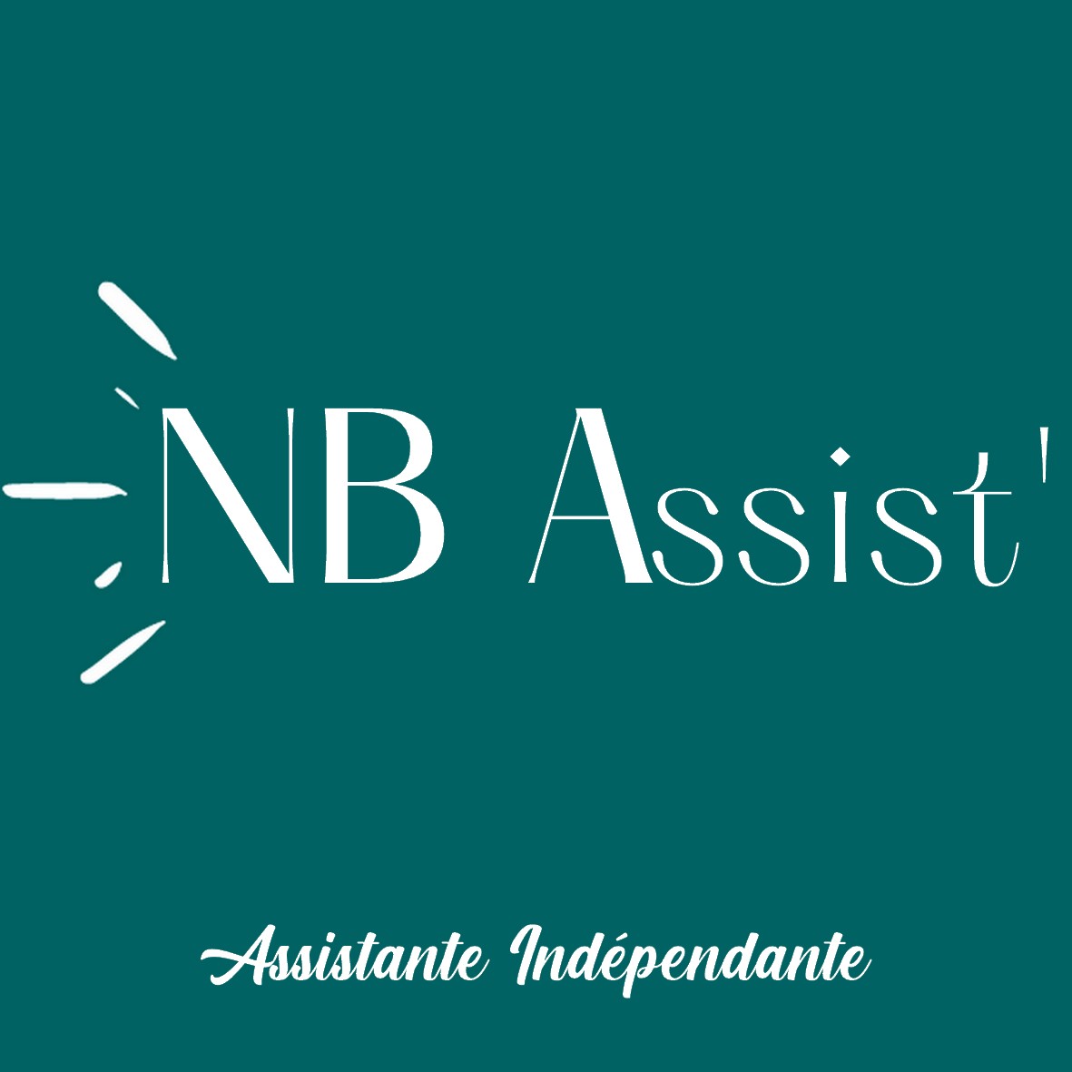 Logo de NB Assist' | Nastasia BOISGILLOT
